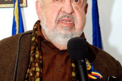 2011 - prim-plan